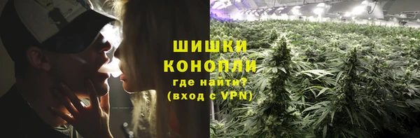 крисы Армянск