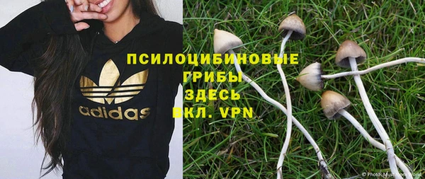 PSILOCYBIN Арсеньев