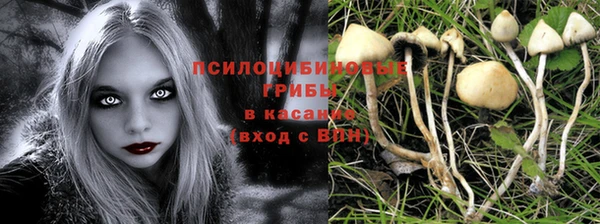 крисы Армянск
