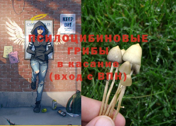 PSILOCYBIN Арсеньев