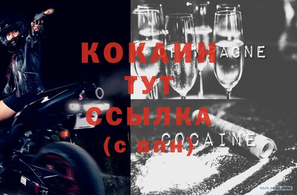 крисы Армянск