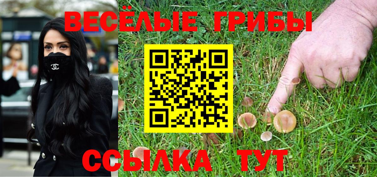 Псилоцибиновые грибы мухоморы Рыбинск