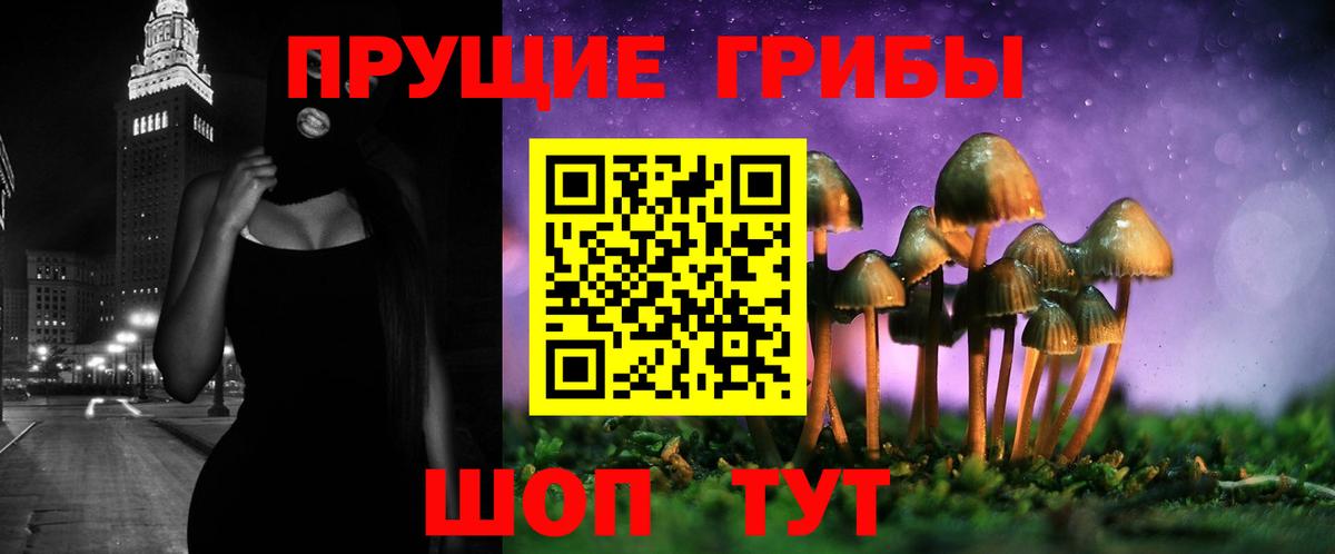 Псилоцибиновые грибы Psilocybe  Псилоцибиновые грибы MAGIC MUSHROOMS  Рыбинск  где купить наркоту  Вход с VPN 